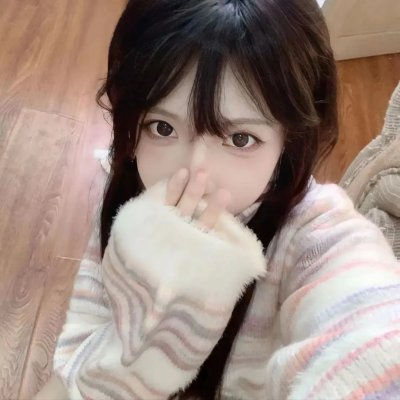 鸣鸿传
